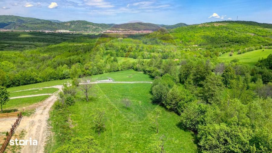 Teren de 1000 mp, în Tohănița
