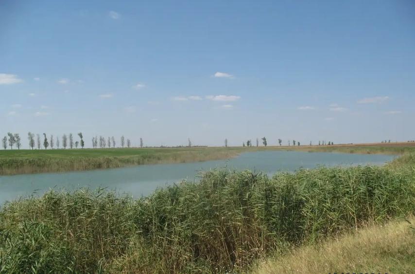 Teren de 430000 mp, în Crunți