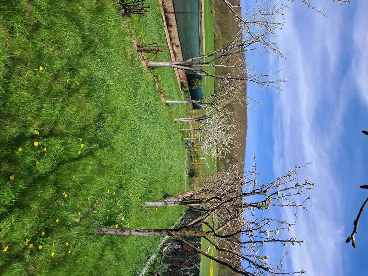 Casă cu Teren 4470 Mp în Vâlcele