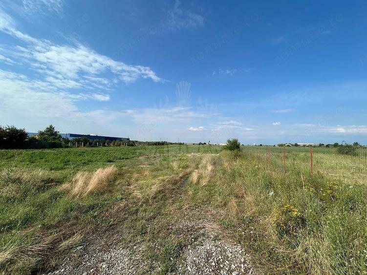 Teren de 3000 mp, în Albert