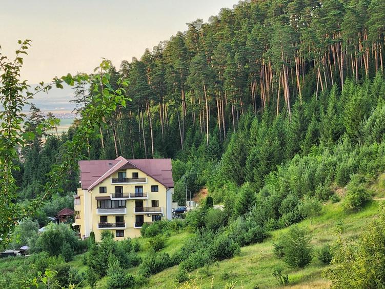 Apartament cu 2 camere semidecomandat în Babarunca
