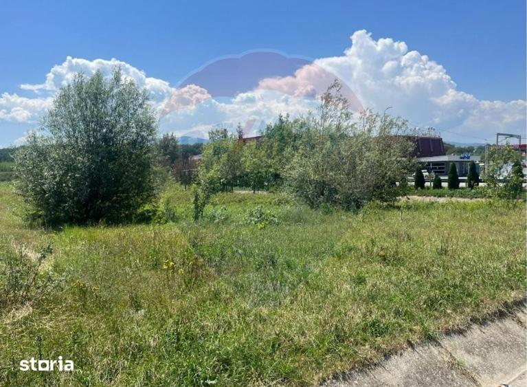 Teren de 14800 mp, în Central