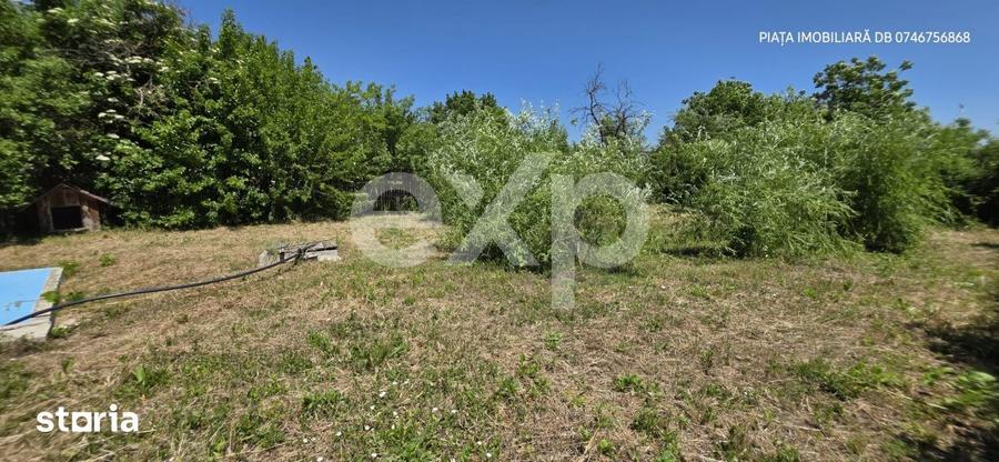 Casă cu 6 camere cu Piscina în Răzvad