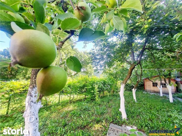 Casă cu 4 camere cu Teren 500 Mp în Central