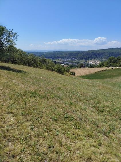Teren agricol extravilan de 7300 mp, în Baciu