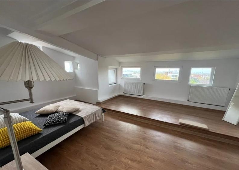 Gradina Zoo, apartamentul la mansarda - 2