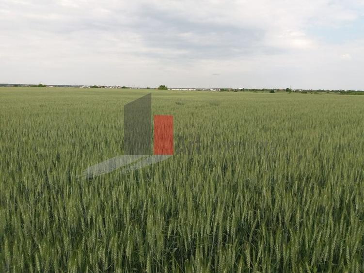 Teren Construcții intravilan de 3000 mp, în Sud