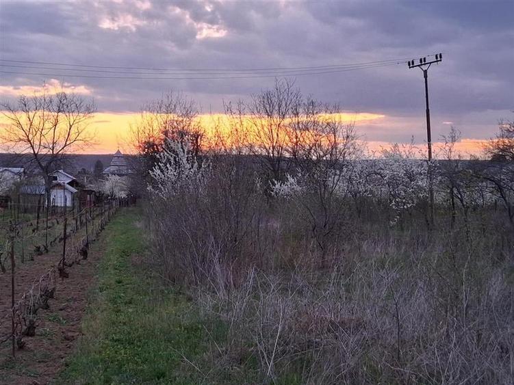 Teren Construcții intravilan de 3715 mp, în Central