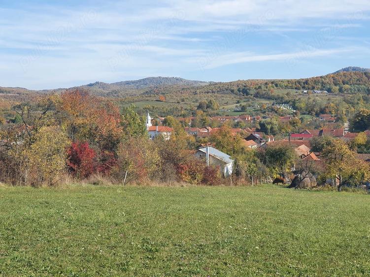 Teren de 3040 mp, în Românești