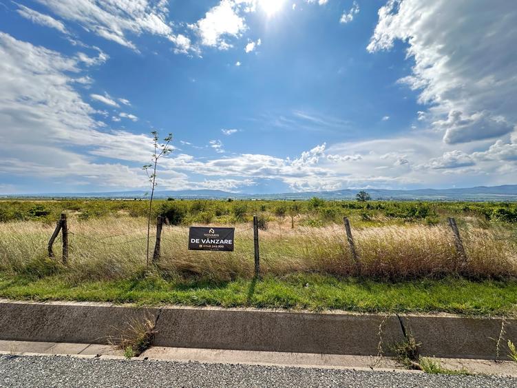 Teren agricol extravilan de 7532 mp, în Odobești