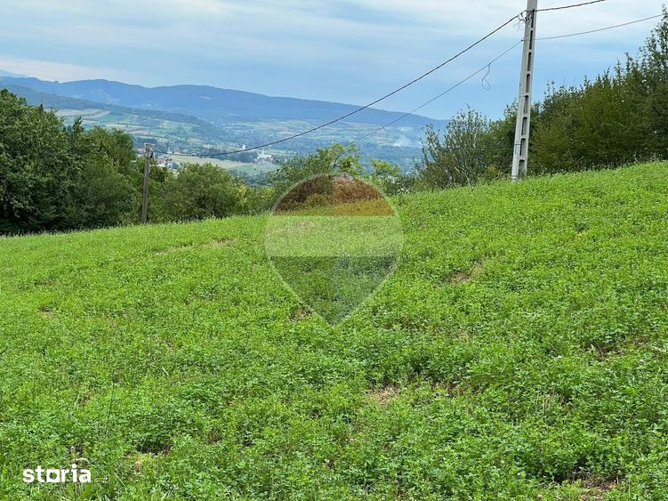 Teren de 5600 mp, în Copalnic