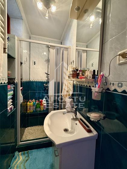 Apartament cu 4 camere decomandat, mobilat în Iosefin