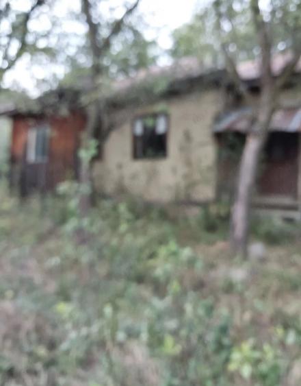 Teren de 16600 mp, în Bisoca