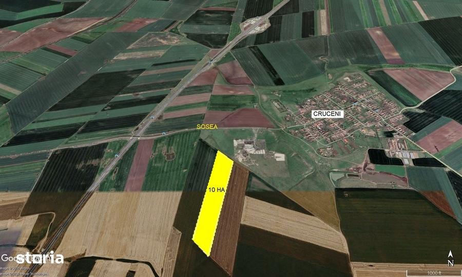Teren de 100000 mp, în Șagu