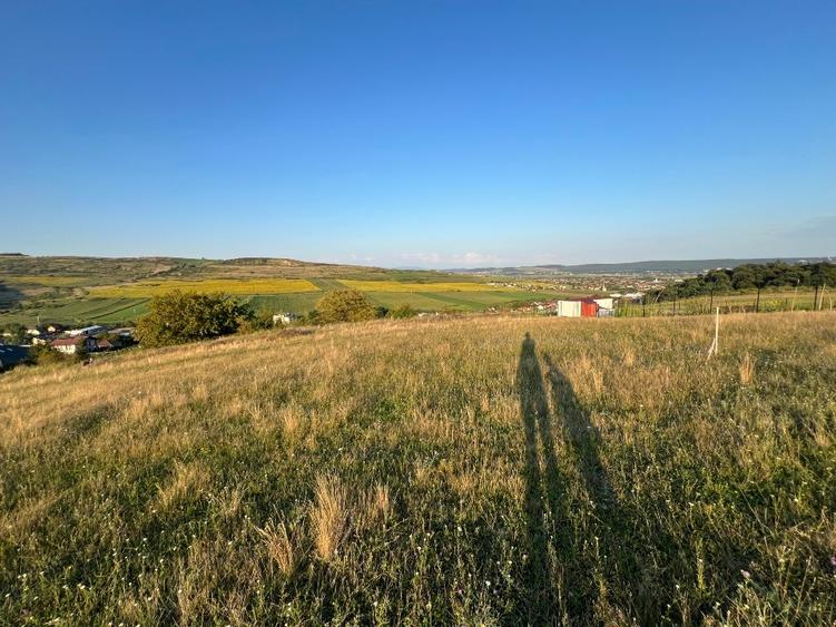 Teren Construcții intravilan de 600 mp, în Sântana de Mureș
