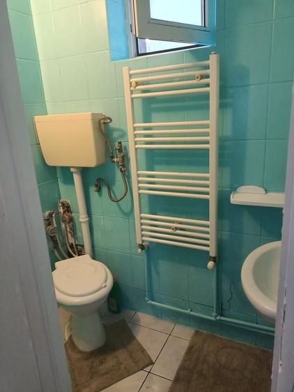 Apartament cu 2 camere nedecomandat, mobilat în Brotăcei