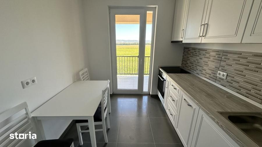 Apartament cu 2 camere în Terezian