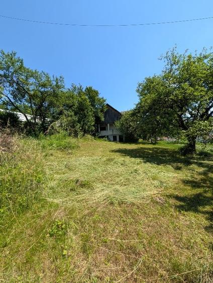 Teren Construcții intravilan de 300 mp, în Valea Borcutului