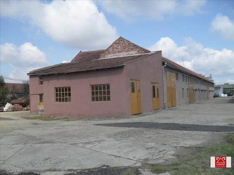 Spațiu industrial, de 7,000 mp, în Sânnicolau Mic