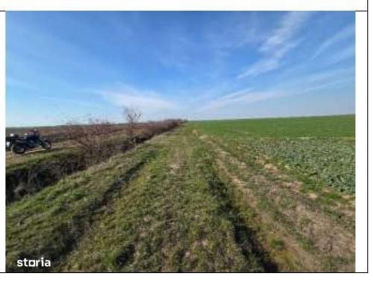 Teren extravilan arabil-Com.Madaras, Jud. Bihor - 5