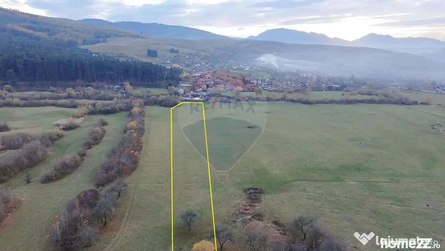 Teren de 5800 mp, în Purcăreni
