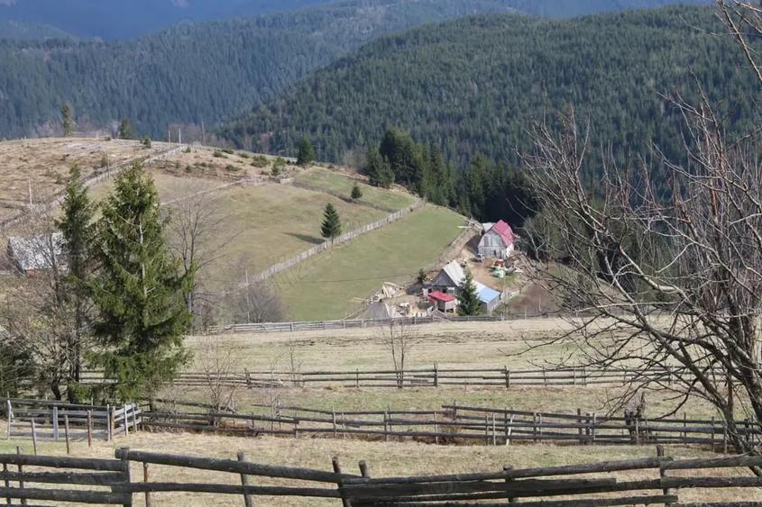 Teren în Măguri