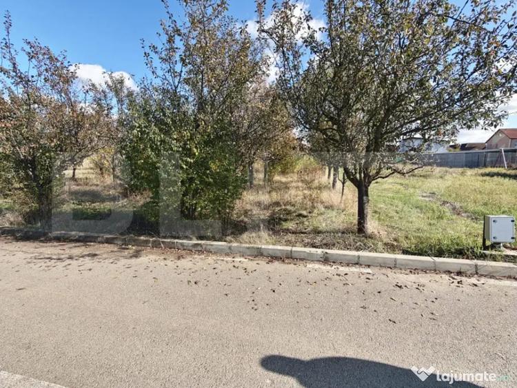 Teren în Păulești
