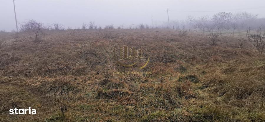 Teren de 2900 mp, în Baciu