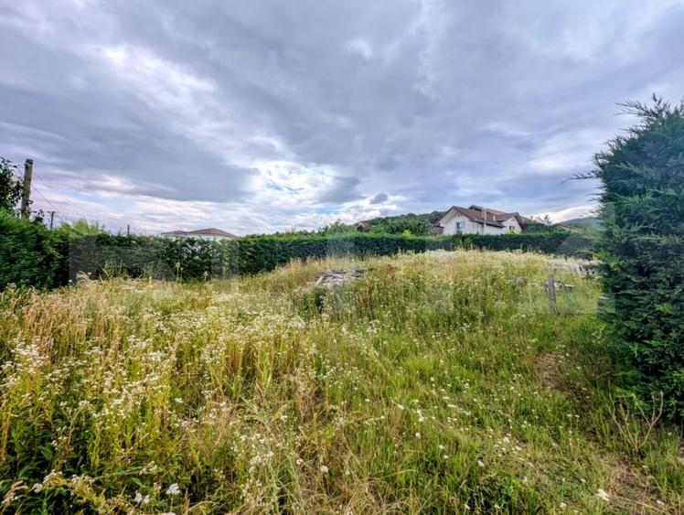 Teren Construcții intravilan de 478 mp, în Micești