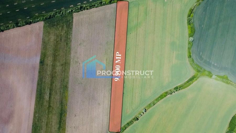 Teren agricol extravilan de 9990 mp, în Săcălaz