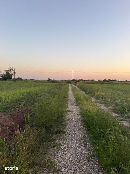 Teren de 1000 mp, în Odăi