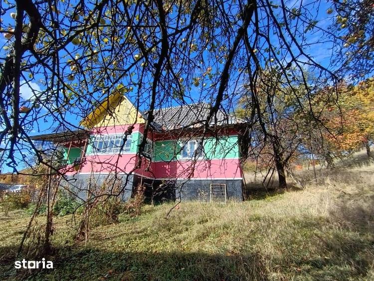 Casă cu 2 camere cu Teren 4000 Mp în Central