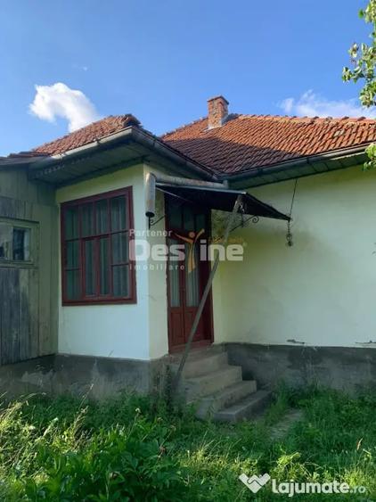 Casă cu 6 camere cu Teren 2793 Mp în Brusturoasa