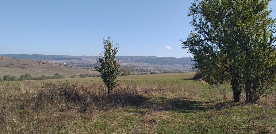 Teren agricol extravilan de 5000 mp, în Apața