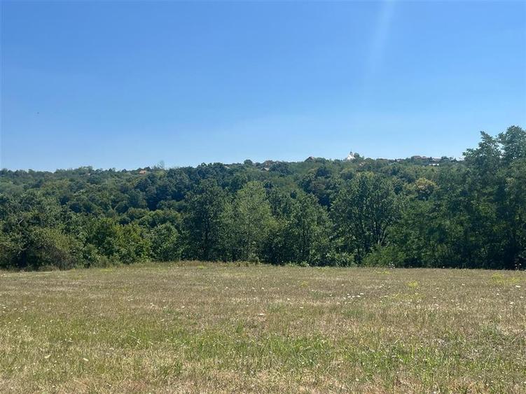 Teren agricol extravilan de 21300 mp, în Lăzăreni