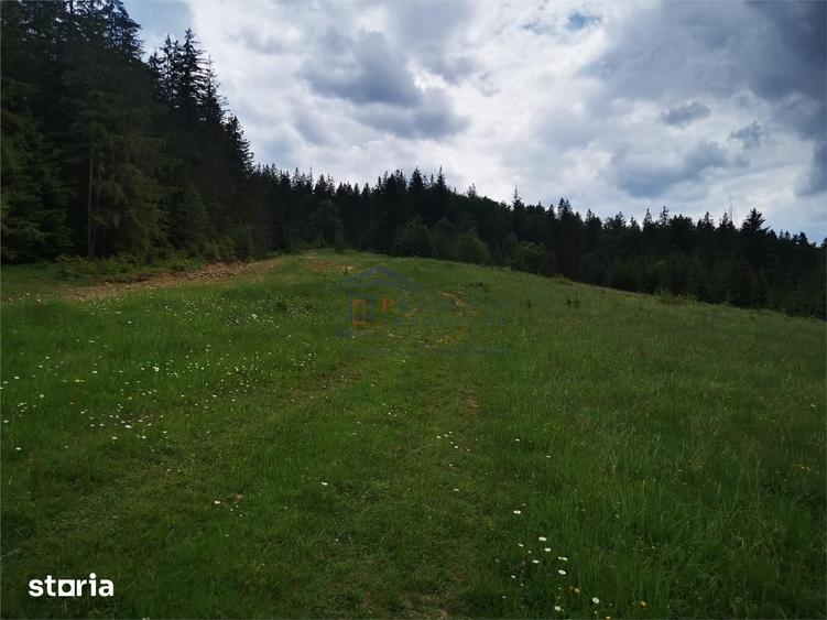 Teren de 1000 mp, în Mălini
