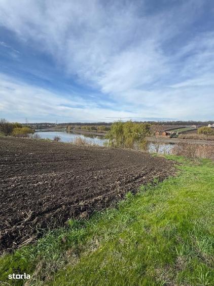 Teren de 14433 mp, în Moara Vlăsiei