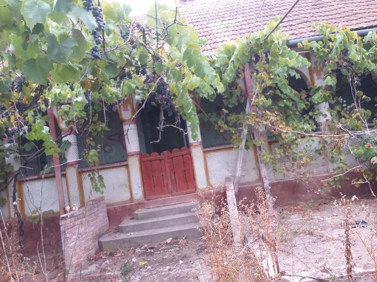 Casă cu 3 camere cu Teren 3070 Mp în Sacoșu Turcesc