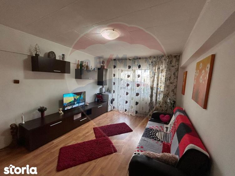 Apartament cu 2 camere, mobilat în Craiovița Nouă