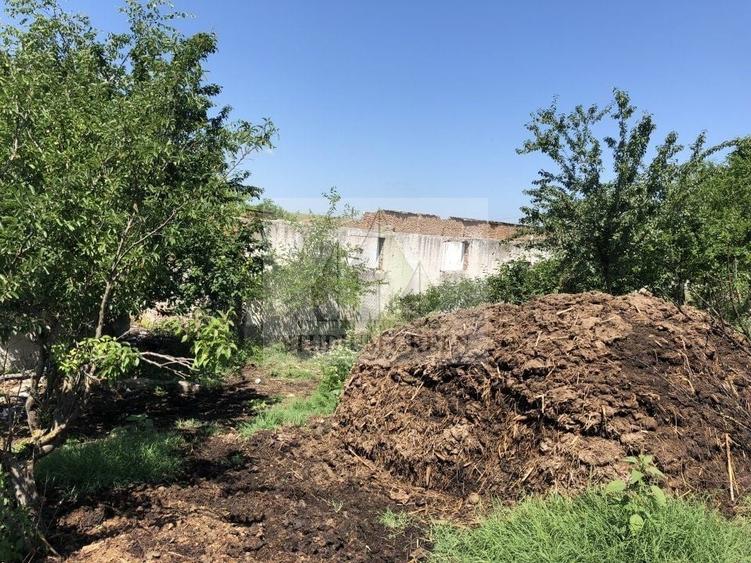 Teren agricol intravilan de 9795 mp, în Rădoiești