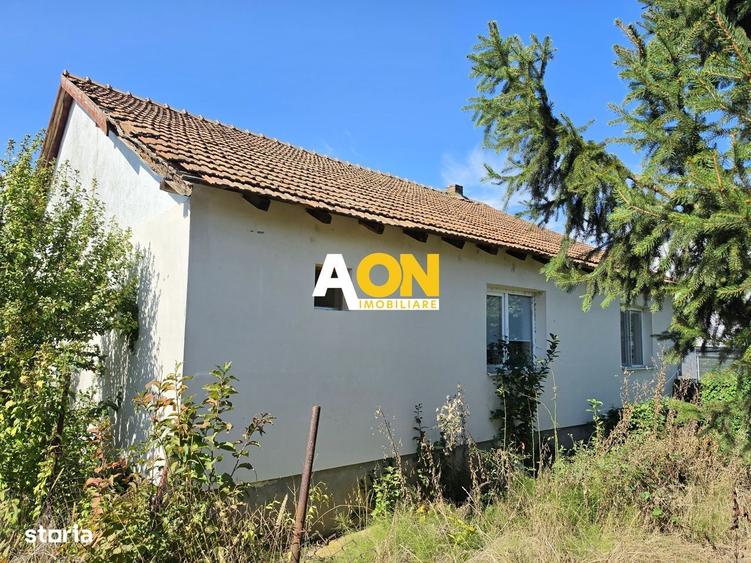 Casa individuala 3 camere, 323 mp teren, Centru, zona Lipoveni - 2