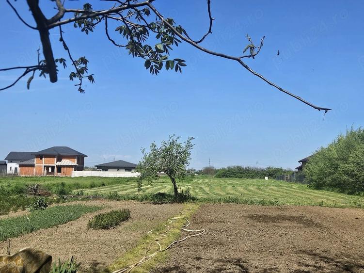 Teren de 1055 mp, în Dumitrana