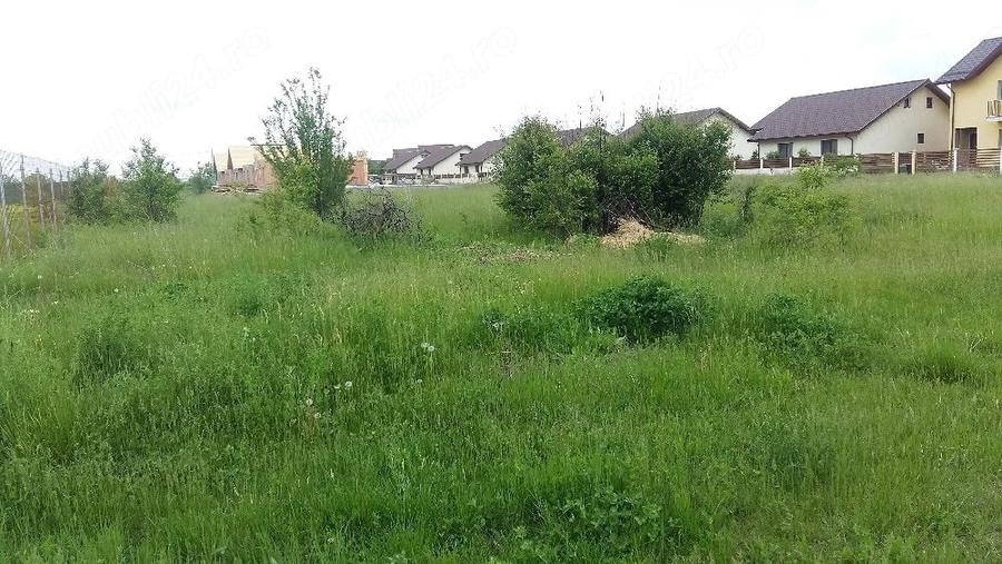 Vand teren Domnesti, Ilfov - 1