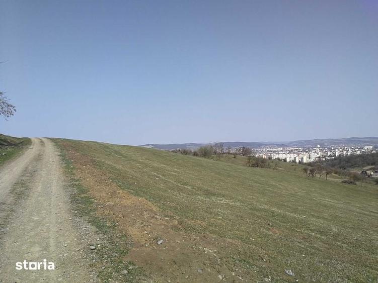 Teren de 15908 mp, în Libertății