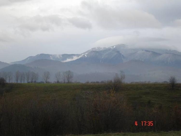 Teren extravilan de 20000 mp, în Râșnov