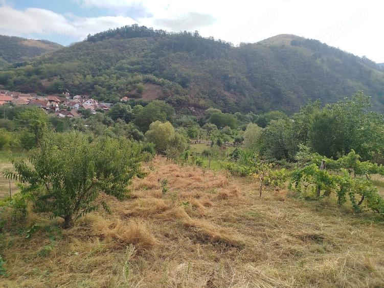 Teren de 20 mp, în Laz (Săsciori)
