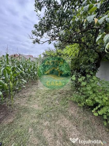 Casă cu 2 camere cu Teren 1000 Mp în Butea