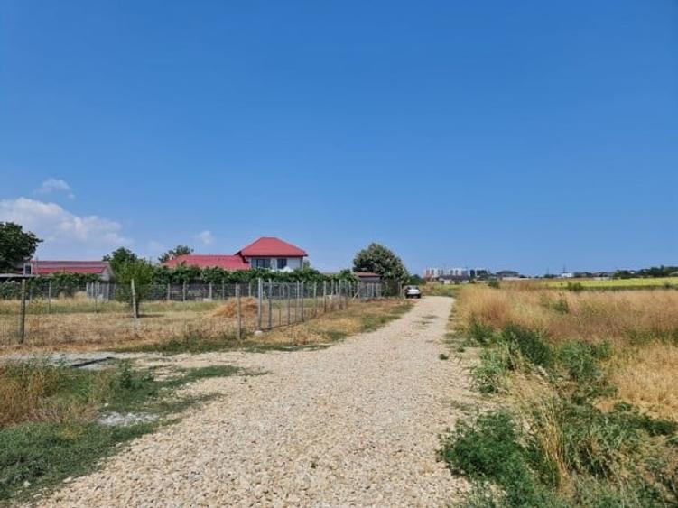 Teren Construcții intravilan de 5000 mp, în Lazu
