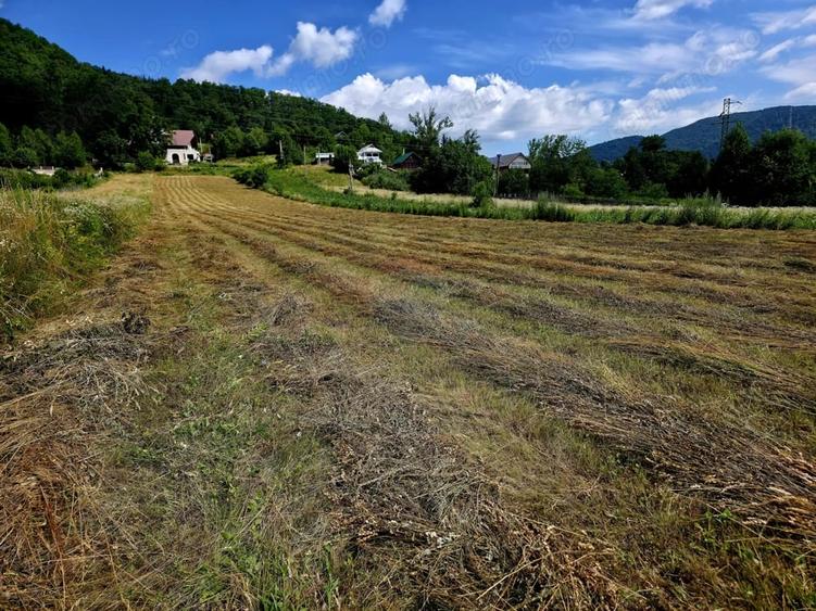 Teren de 600 mp, în Viișoara