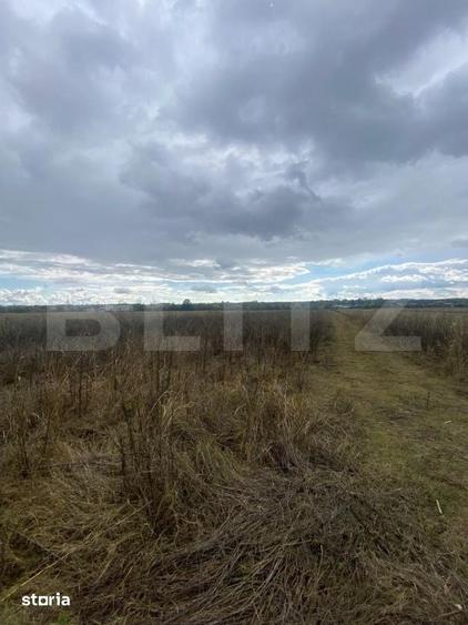 Teren de 2500 mp, în Lucieni